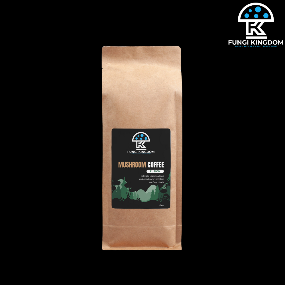 Mushroom Coffee Fusion - Lion’s Mane & Chaga 16oz