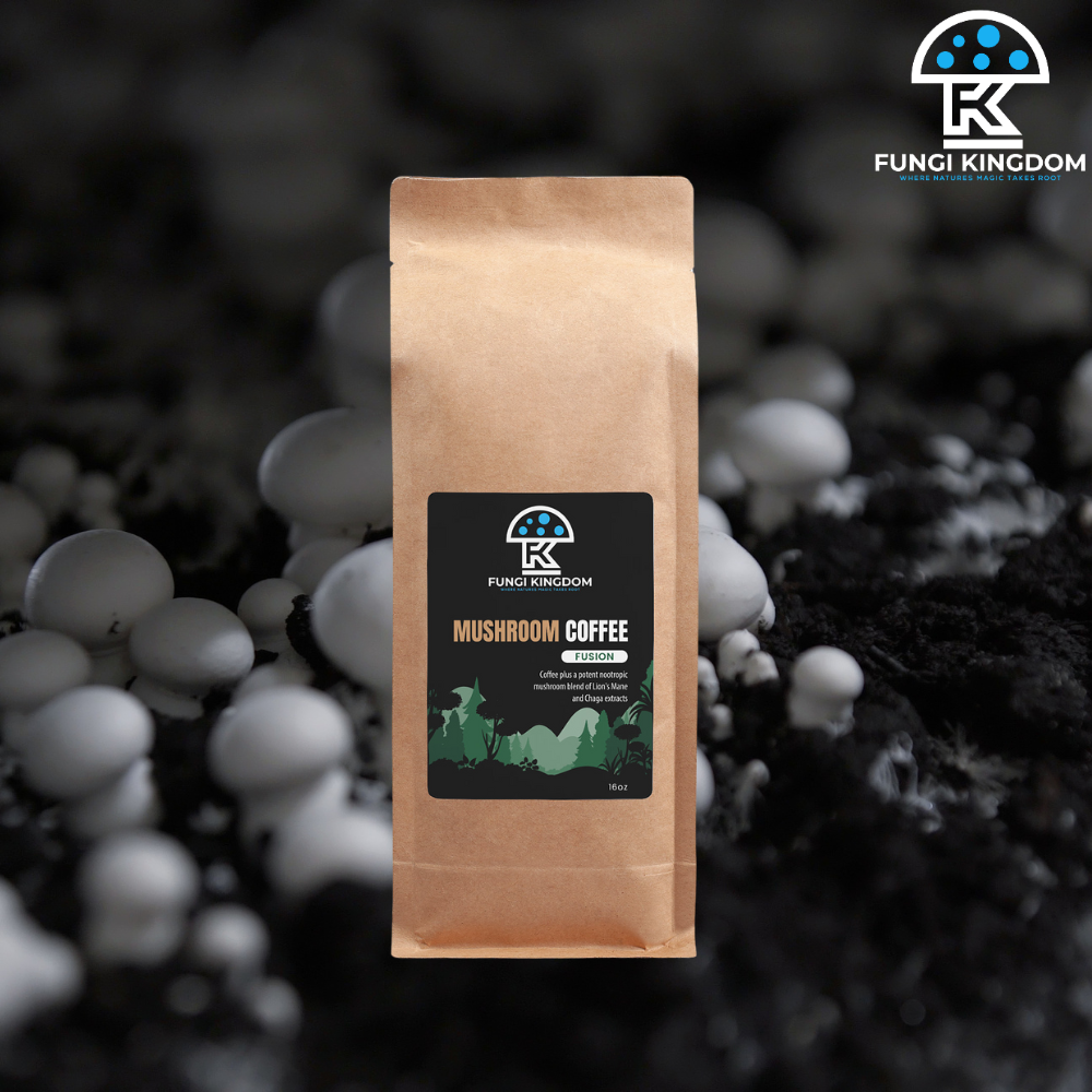 Mushroom Coffee Fusion - Lion’s Mane & Chaga 16oz